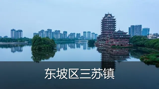 东坡区三苏镇